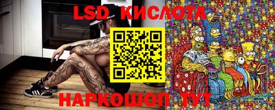ПСИЛОЦИБИНОВЫЕ ГРИБЫ Кингисепп