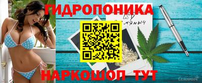 винт Кимры