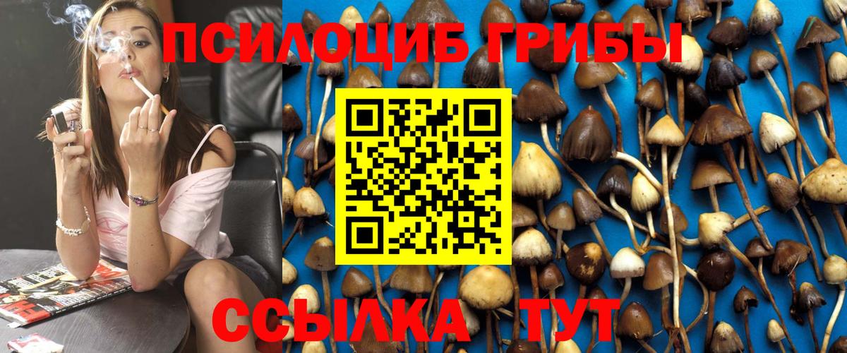 Псилоцибиновые грибы Psilocybe  Вход с VPN  Сарапул  даркнет сайт  Псилоцибиновые грибы прущие грибы 